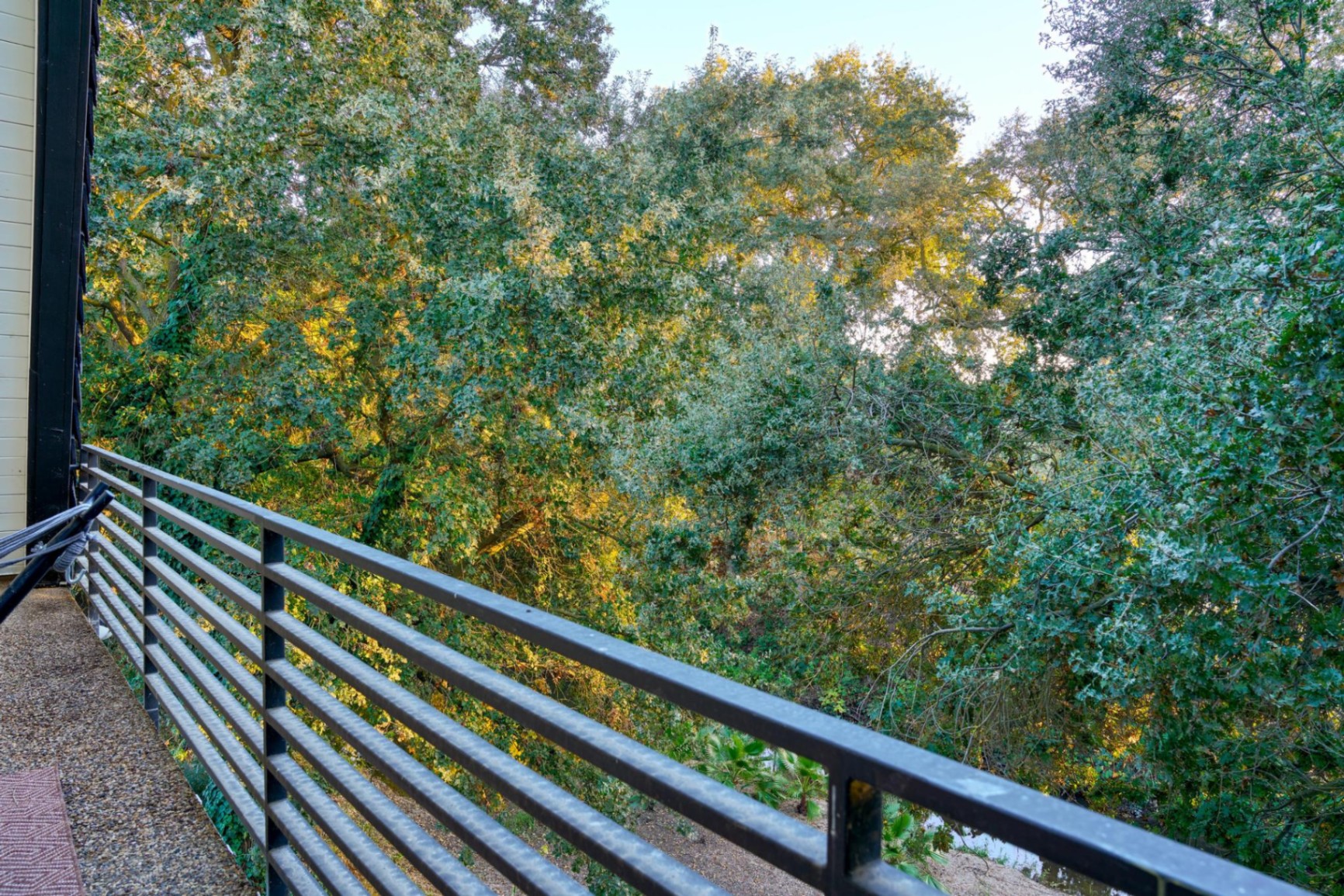 Treetop view from private balcony